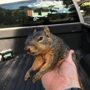 Meet your Posher, John